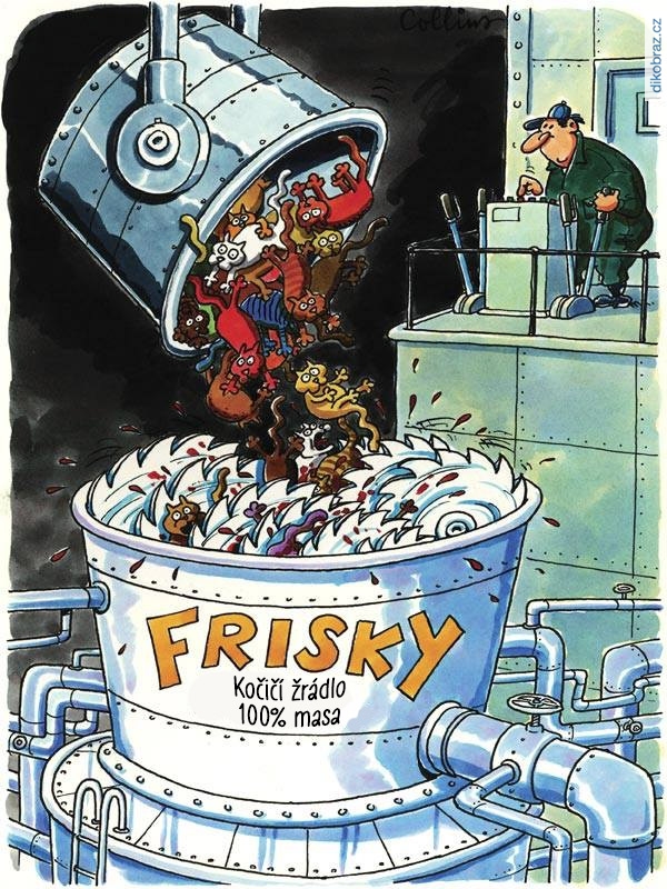 Dan Collins vtipy č.4062 - 