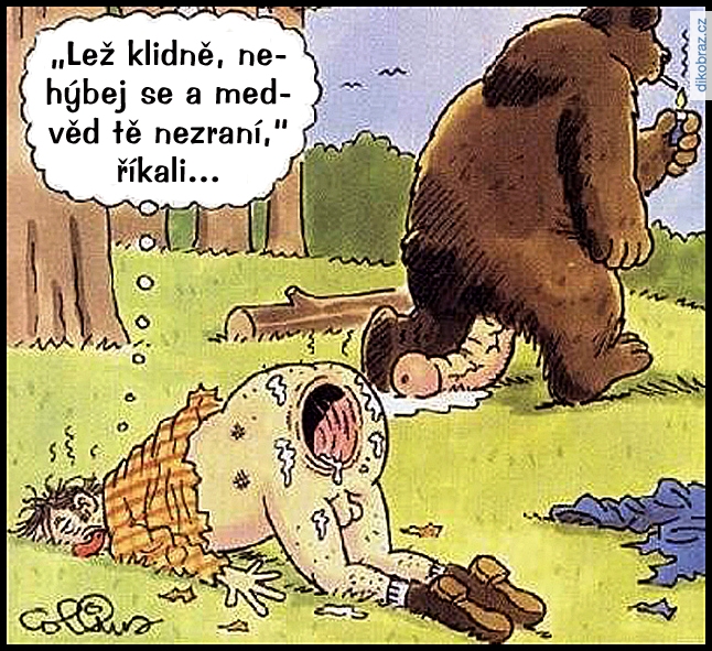 Dan Collins vtipy č.64574 - 