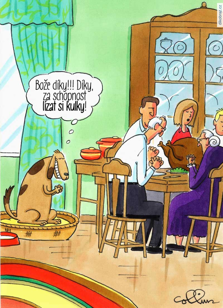 Dan Collins vtipy č.4171 - 