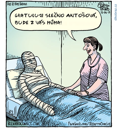 Dan Piraro vtipy č.960 - 