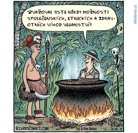 Dan Piraro vtipy č.986 - 