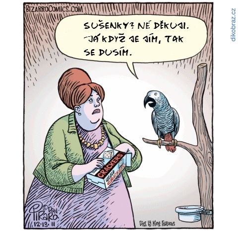 Dan Piraro vtipy č.993 - 
