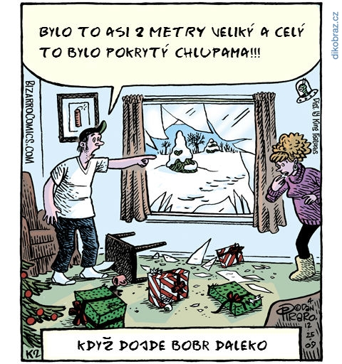 Dan Piraro vtipy č.1014 - 