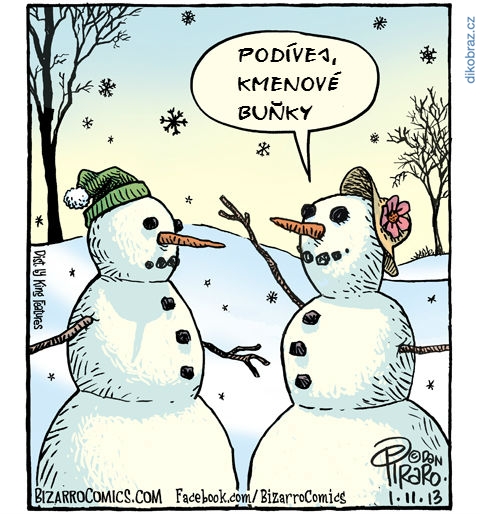 Dan Piraro vtipy č.1356 - 