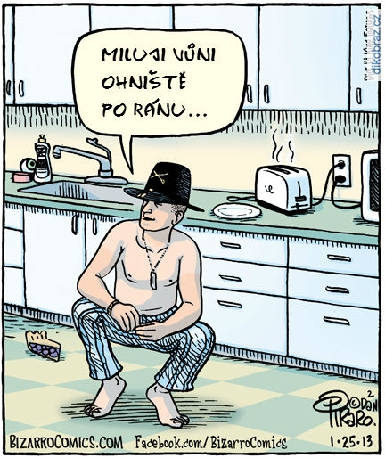 Dan Piraro vtipy č.1540 - 