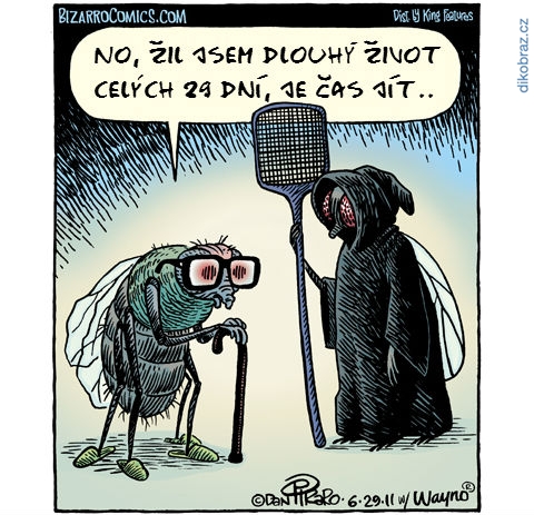 Dan Piraro vtipy č.1642 - 