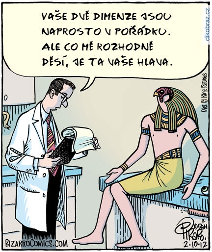 Dan Piraro vtipy č.1676 - 