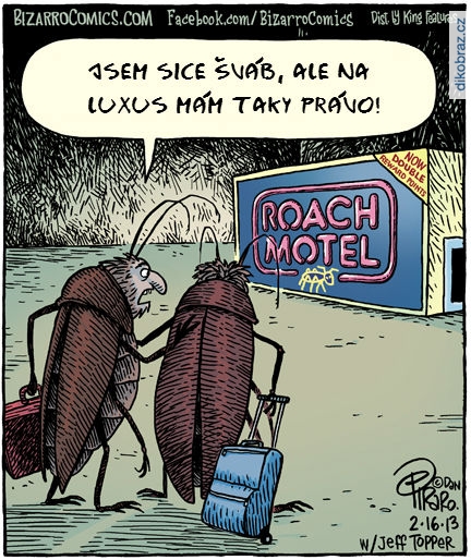 Dan Piraro vtipy č.1804 - 