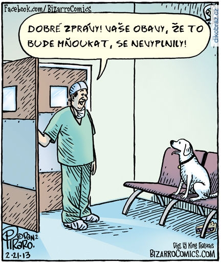 Dan Piraro vtipy č.1837 - 