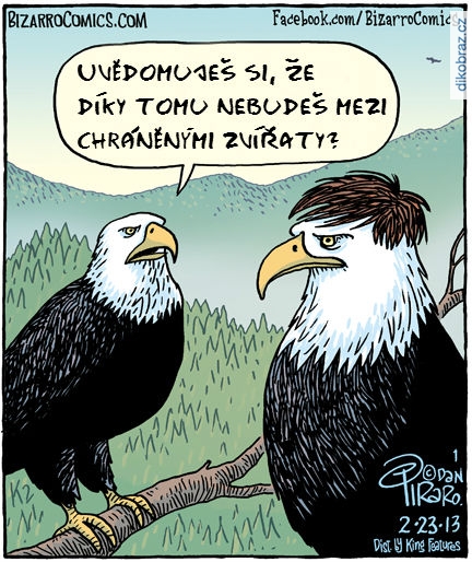 Dan Piraro vtipy č.1873 - 