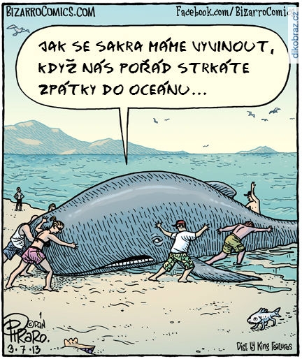 Dan Piraro vtipy č.1921 - 