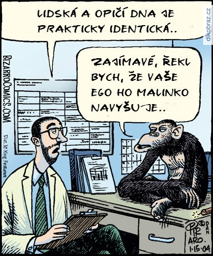 Dan Piraro vtipy č.2957 - 