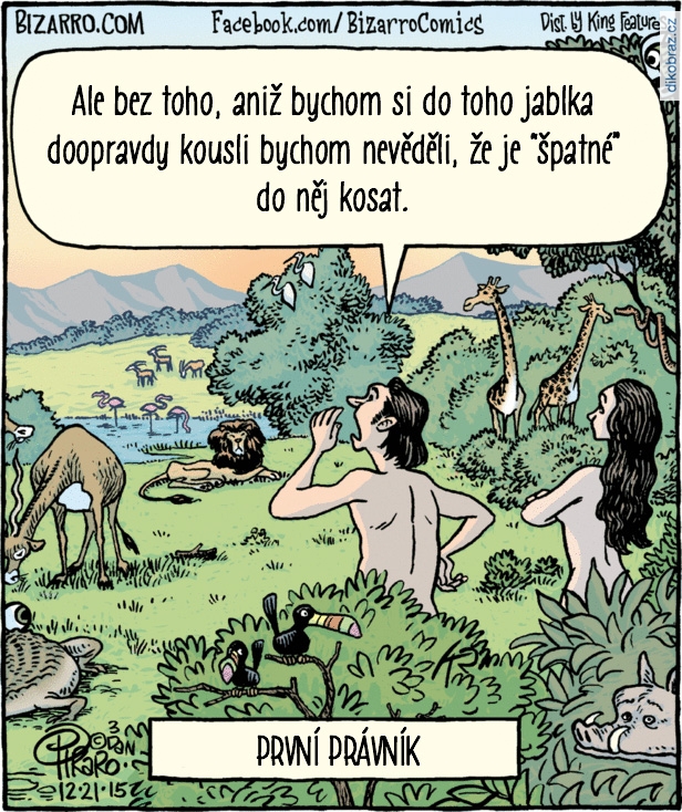 Dan Piraro vtipy č.3305 - 