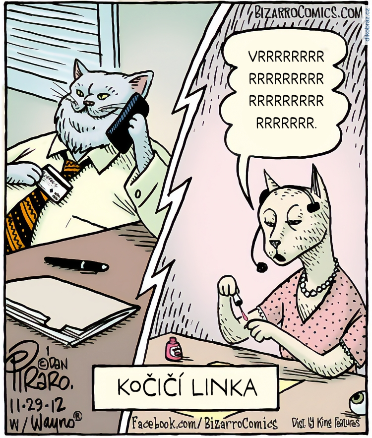 Dan Piraro vtipy č.904 - 