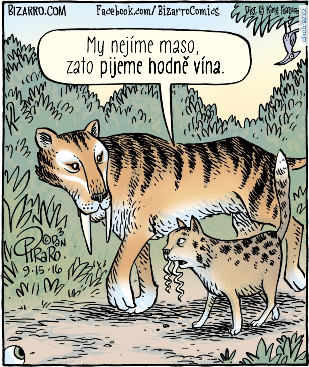 Dan Piraro vtipy č.4060 - 