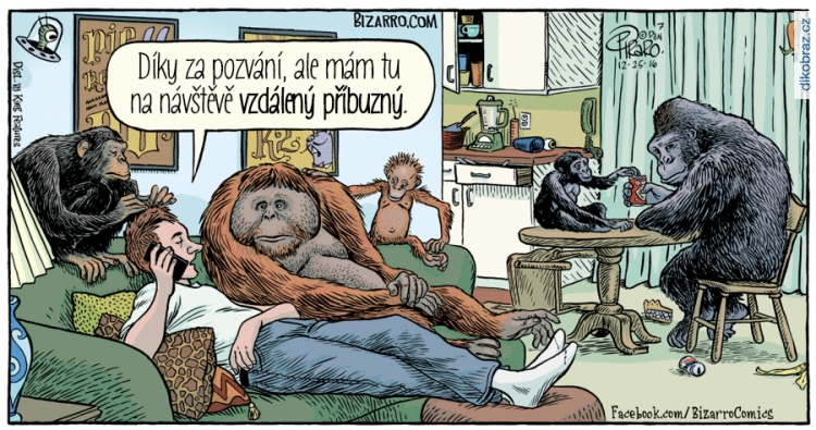 Dan Piraro vtipy č.4664 - 
