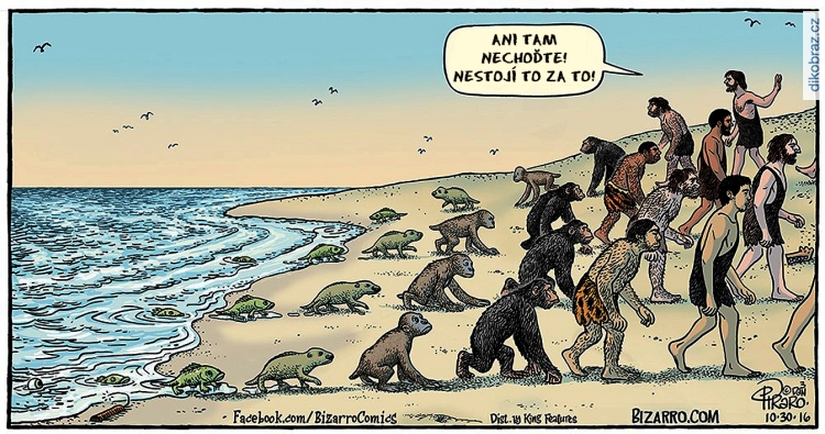 Dan Piraro vtipy č.106622 - 