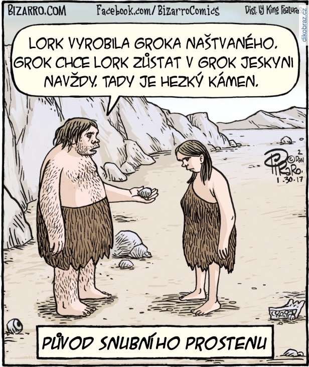 Dan Piraro vtipy č.4875 - 