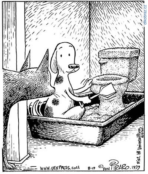 Dan Piraro vtipy č.7895 - 