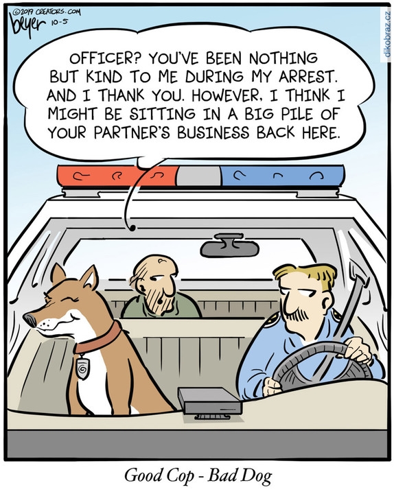 Daniel Beyer vtipy č.55152 - 