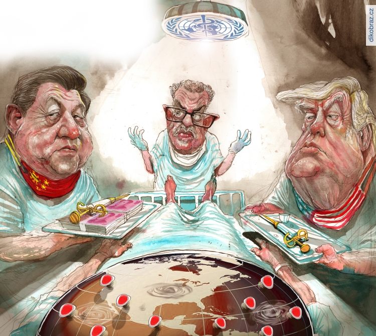 David Rowe vtipy č.8594 - Politický boj během koronaviru