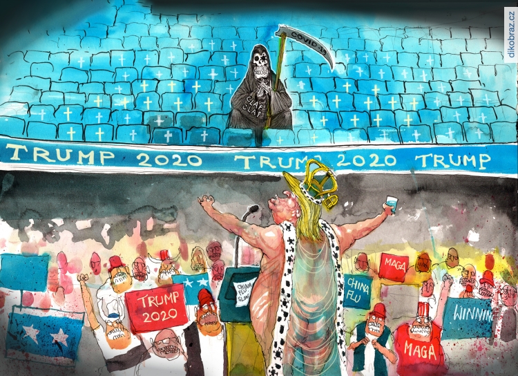 David Rowe vtipy č.9175 - Americké volby 2020