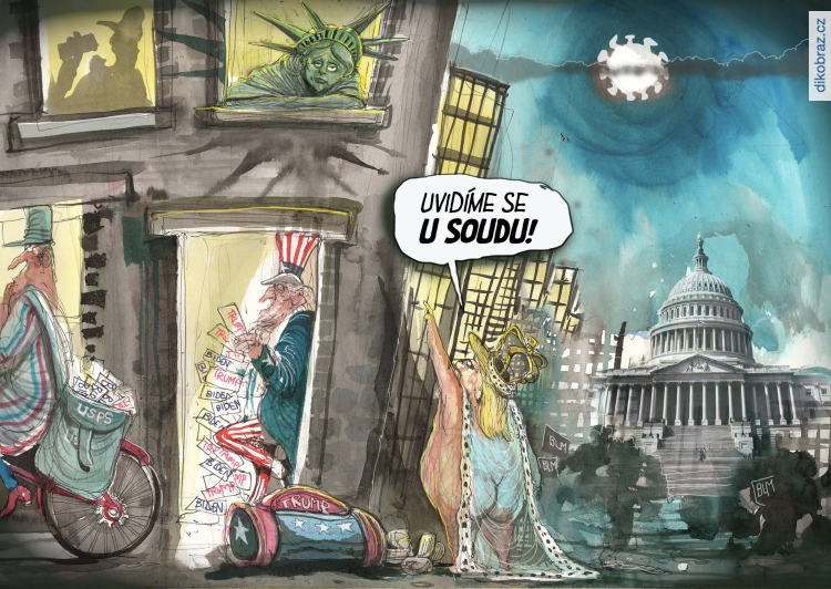 David Rowe vtipy č.20232 - Americké volby 2020