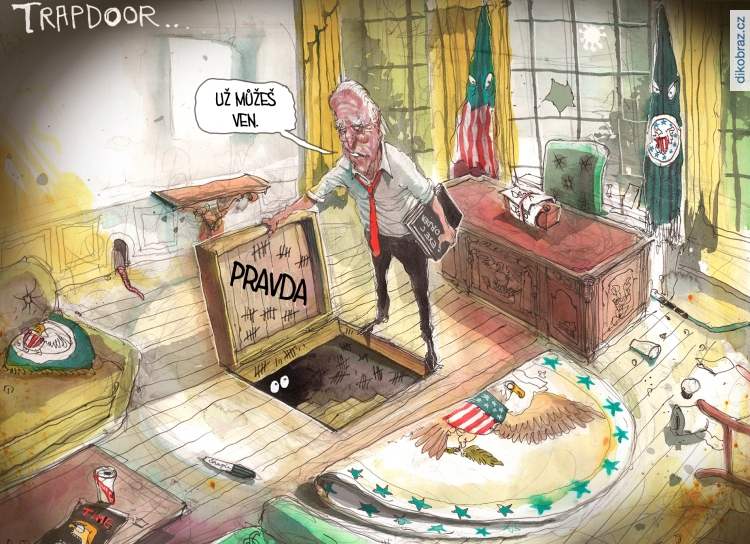 David Rowe vtipy č.27250 - Americké volby 2020