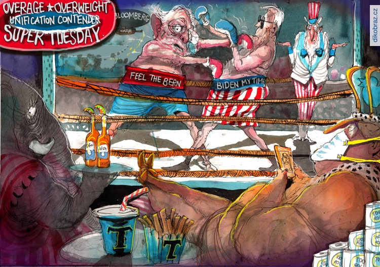 David Rowe vtipy č. - Americké volby 2020