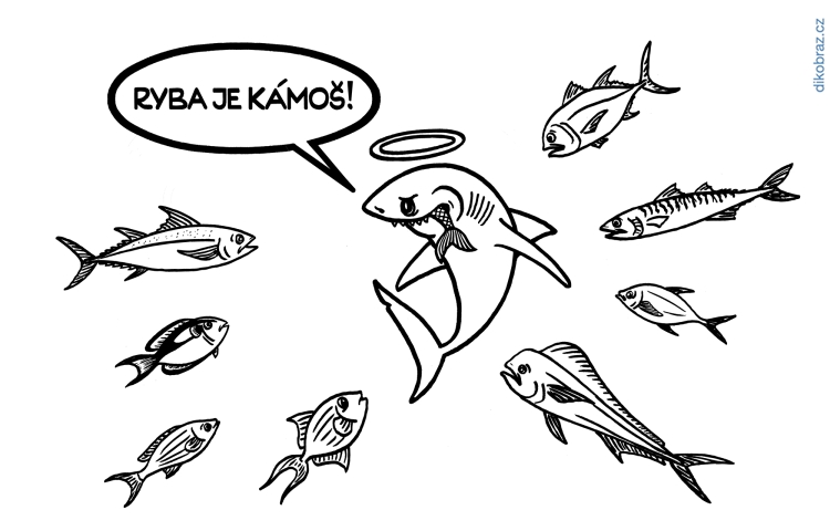 Dikobraz vtipy č.29282 - 