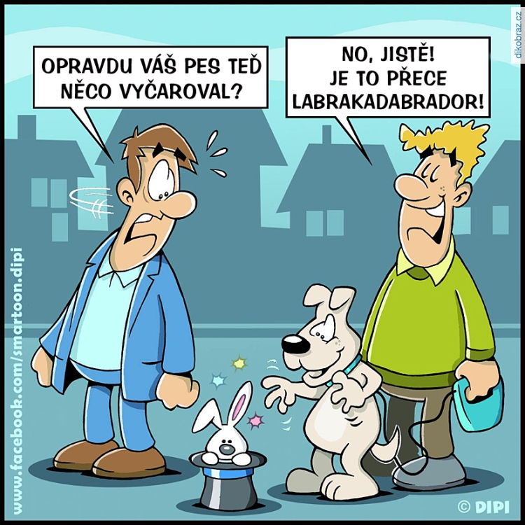 Dirk Pietrzak (DIPI) vtipy č.73205 - 