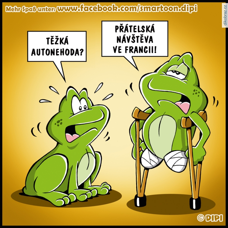 Dirk Pietrzak (DIPI) vtipy č.73207 - 