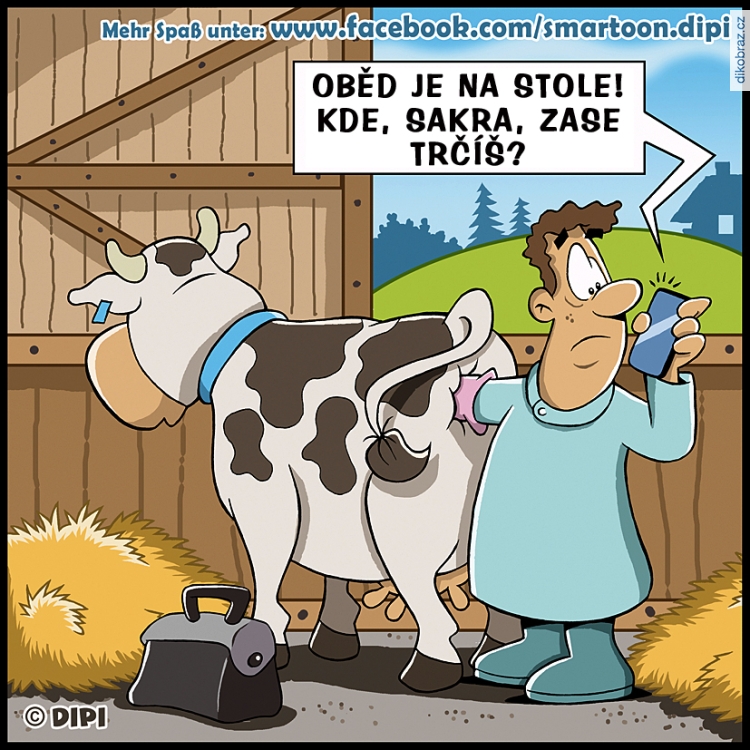 Dirk Pietrzak (DIPI) vtipy č.73381 - 