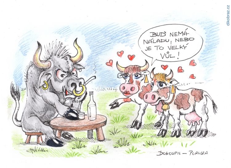 Dokoupil-Poruba vtipy č.66098 - 