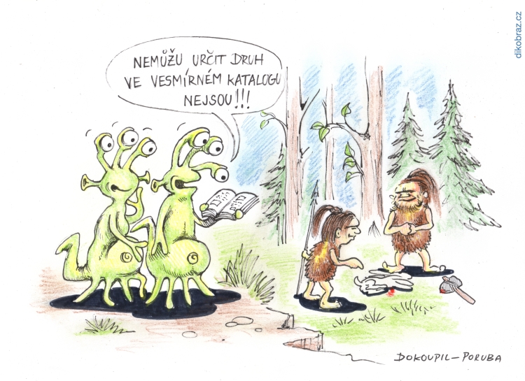 Dokoupil Martin vtipy č.65975 - 