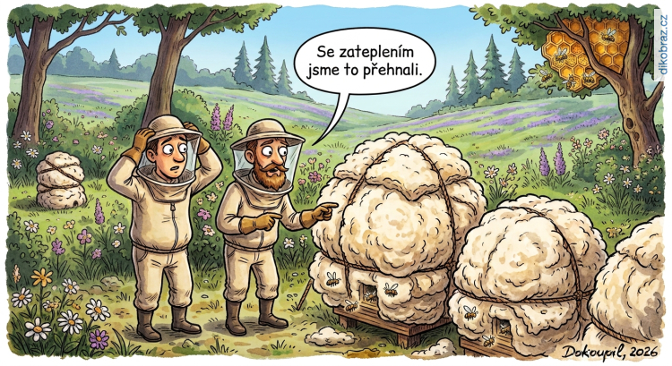 Dokoupil Martin vtipy č. - 