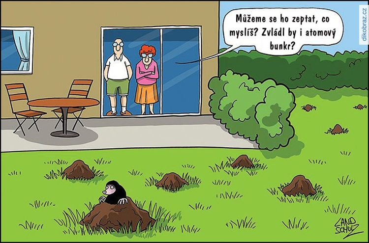 Dorthe Landschulz vtipy č.67253 - 