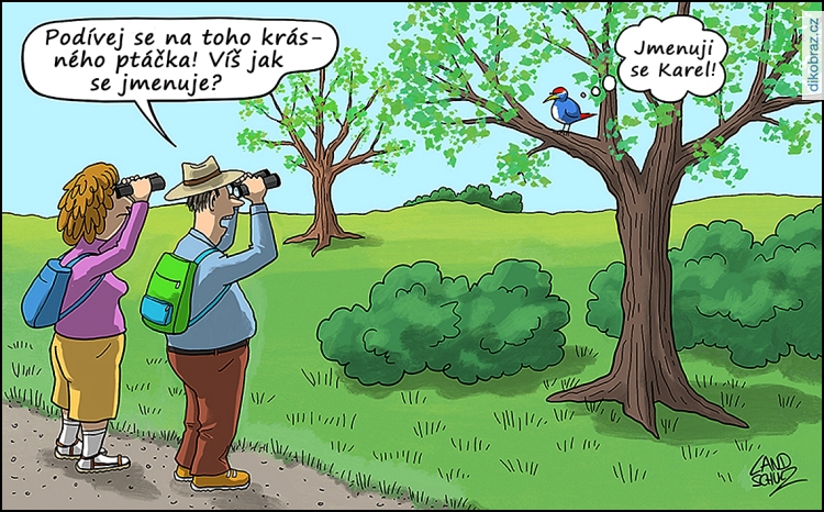Dorthe Landschulz vtipy č.72244 - 