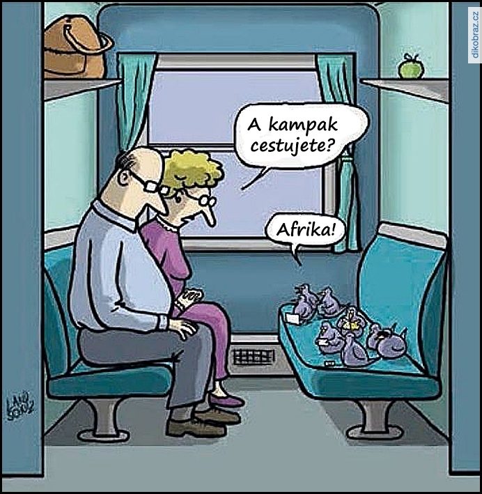 Dorthe Landschulz vtipy č. - 