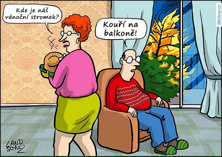 Dorthe Landschulz vtipy č.72247 - 
