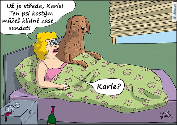 Dorthe Landschulz vtipy č.72251 - 