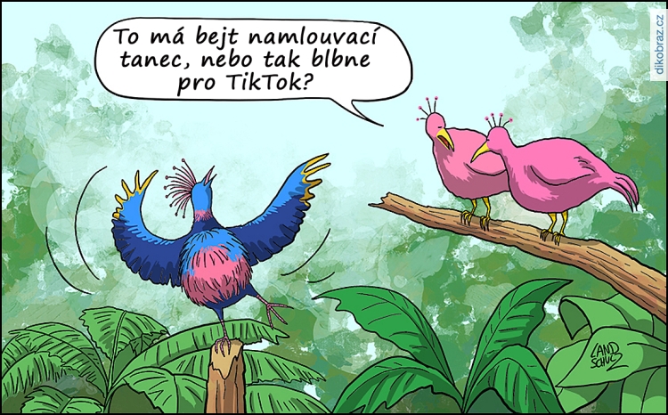 Dorthe Landschulz vtipy č. - 