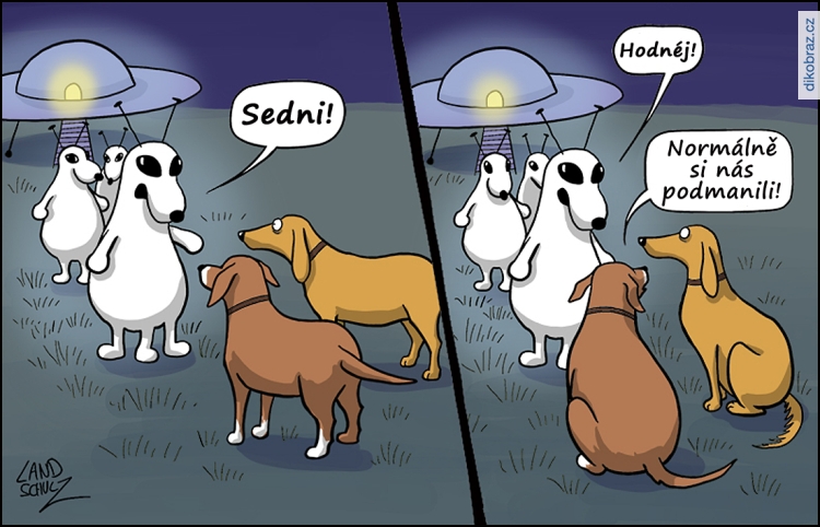 Dorthe Landschulz vtipy č. - 