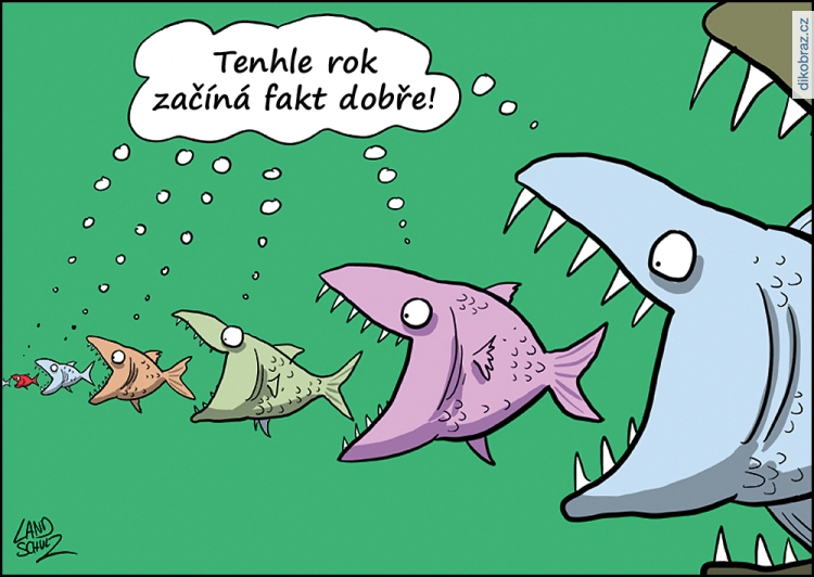 Dorthe Landschulz vtipy č. - 
