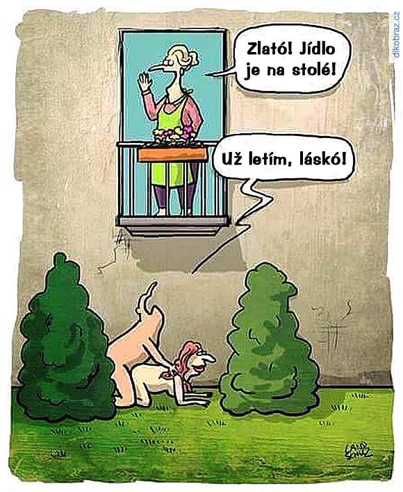 Dorthe Landschulz vtipy č.72683 - 