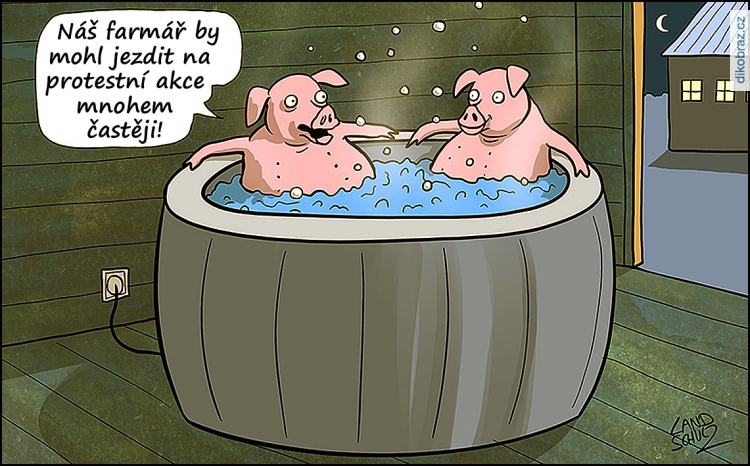 Dorthe Landschulz vtipy č. - 