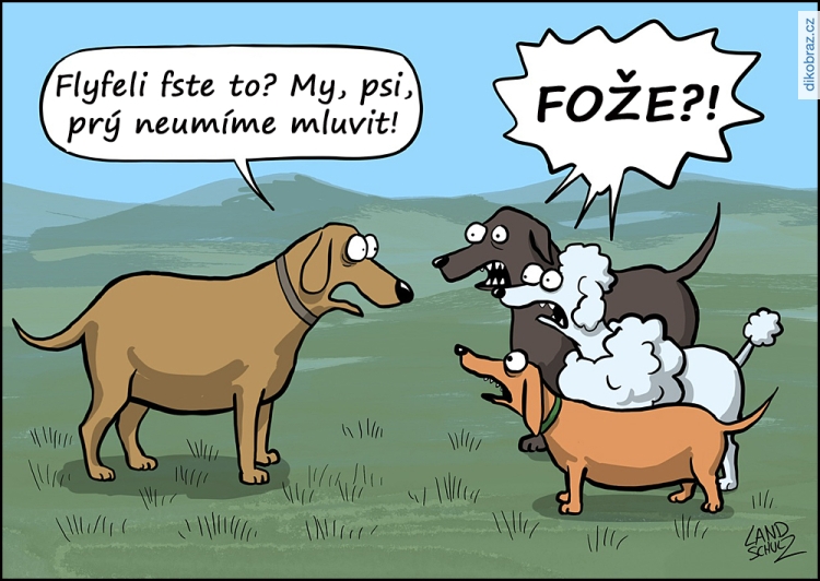 Dorthe Landschulz vtipy č. - 