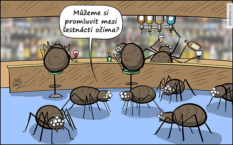 Dorthe Landschulz vtipy č.72710 - 