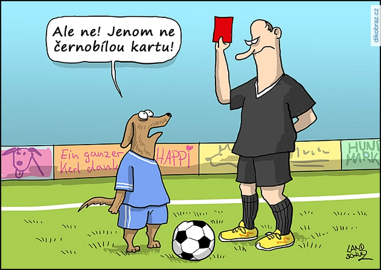 Dorthe Landschulz vtipy č.82405 - 