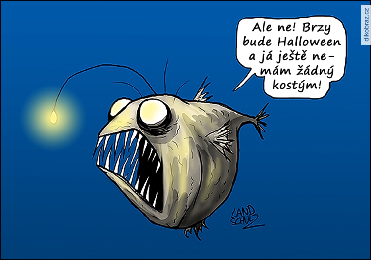 Dorthe Landschulz vtipy č.103000 - 